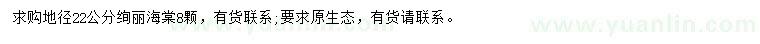求購(gòu)地徑22公分絢麗海棠