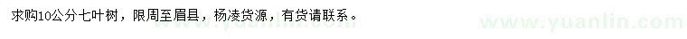 求購10公分七葉樹