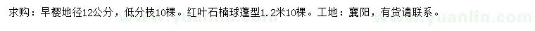 求購(gòu)地徑12公分早櫻、1.2米紅葉石楠球