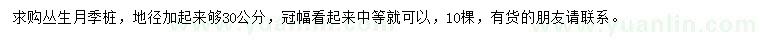 求購30公分叢生月季樁