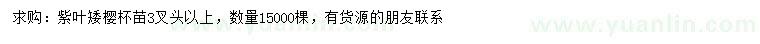 求購(gòu)3叉頭以上紫葉矮櫻