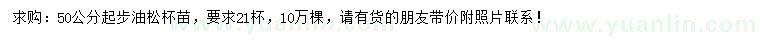求購50公分以上油松