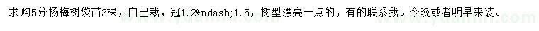 求購(gòu)5分楊梅樹