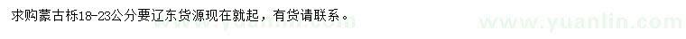 求購18-23公分蒙古櫟