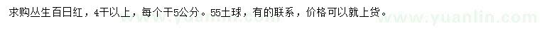 求購(gòu)叢生百日紅