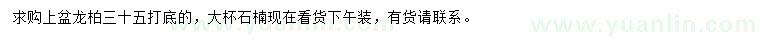 求購35公分以上龍柏、石楠