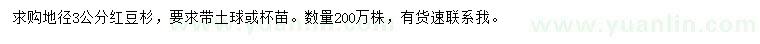 求購(gòu)地徑3公分紅豆杉