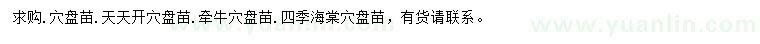 求購天天開、牽牛、四季海棠