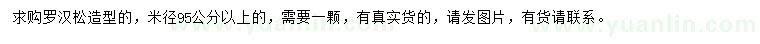 求購(gòu)米徑95公分以上羅漢松