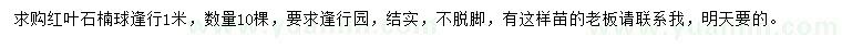 求購(gòu)紅葉石楠球