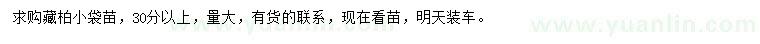 求購30公分以上藏柏