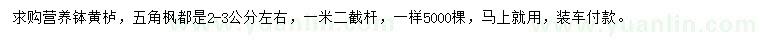 求購2-3公分黃櫨、五角楓
