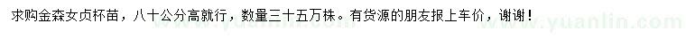求購高80公分金森女貞