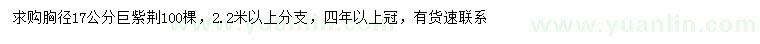 求購胸徑17公分巨紫荊