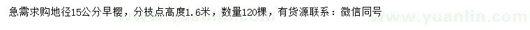 求購地徑15公分早櫻