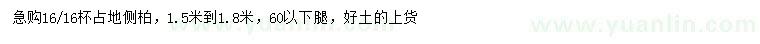 求購(gòu)1.5- 1.8米側(cè)柏