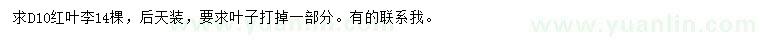 求購地徑10公分紅葉李