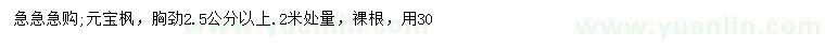 求購2米量2.5公分以上元寶楓