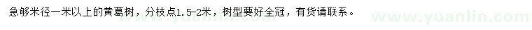 求購(gòu)米徑1米以上黃葛樹