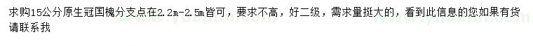 求購15公分國槐