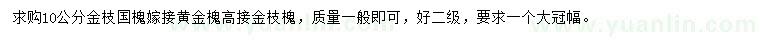 求購金枝國槐、黃金槐、高接金枝槐