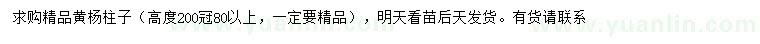 求購高200公分黃楊柱