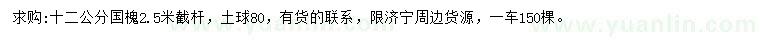 求購12公分國槐