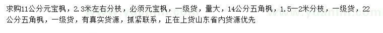 求購11公分元寶楓、14、22公分五角楓