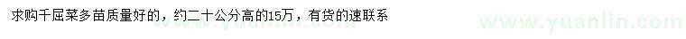 求購高20公分千屈菜