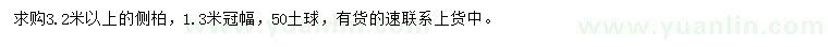 求購(gòu)冠幅1.3米側(cè)柏