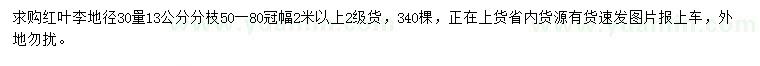 求購30公分量13公分紅葉李