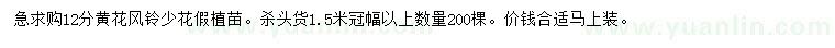 求購12公分黃花風鈴