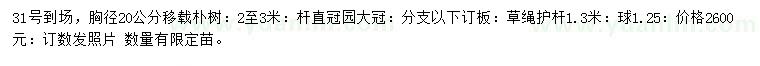 求購(gòu)胸徑20公分樸樹