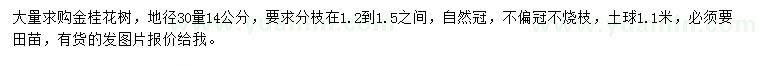 求購30公分量14公分金桂花