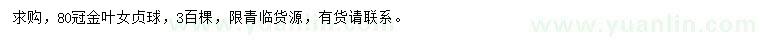 求購冠幅80公分金葉女貞球