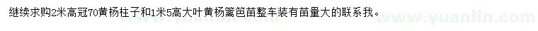 求購冠幅70公分黃楊柱子、高1.5米大葉黃楊