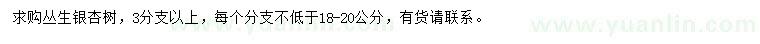 求購(gòu)叢生銀杏樹
