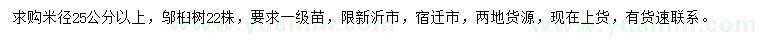 求購米徑25公分以上烏桕