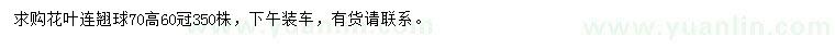 求購冠幅60公分花葉連翹球