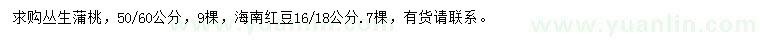 求購(gòu)50、60公分叢生蒲桃、16、18公分海南紅豆