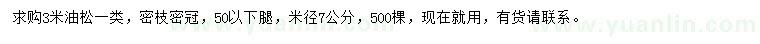 求購米徑7公分油松