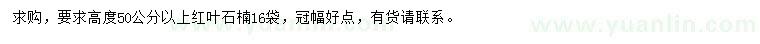 求購高50公分以上紅葉石楠