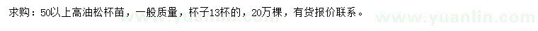 求購高50公分以上油松