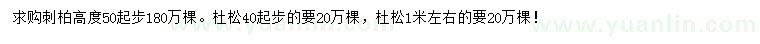 求購高50公分以上刺柏、0.4、1米杜松