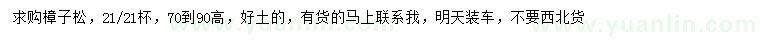求購(gòu)高70-90公分樟子松