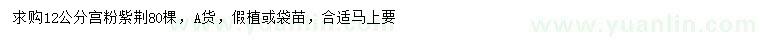 求購(gòu)12公分宮粉紫荊