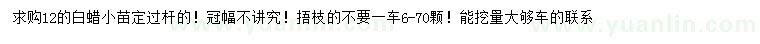 求購(gòu)12公分白蠟小苗