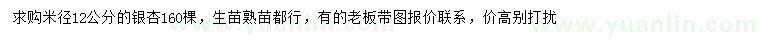 求購米徑12公分銀杏