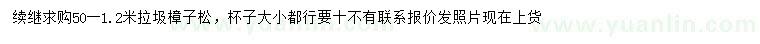 求購0.5-1.2米樟子松