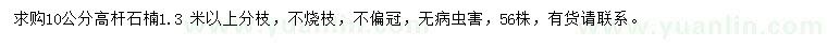 求購(gòu)10公分高桿石楠